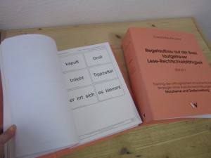 Regelaufbau nach Reuter-Liehr 