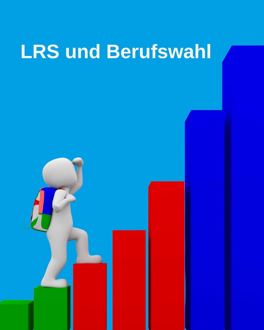 lrs medienutzung